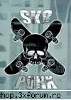 hardcore , rapcore , rap , punk ,ska ce muzica asculti?