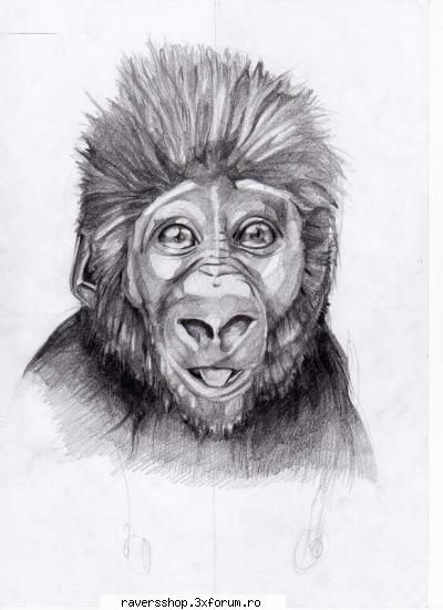 grafica.. inc-un monkey dupa poza..