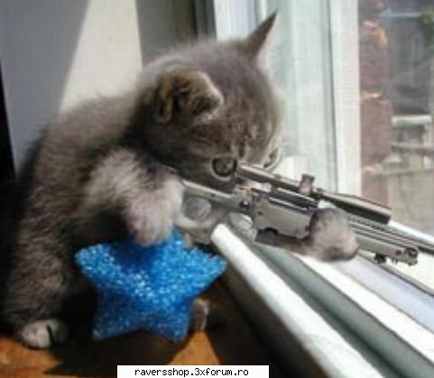 funny (videos and pics)