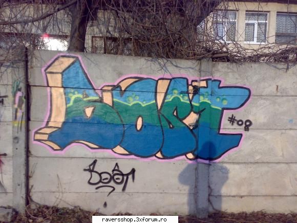 trips suceava