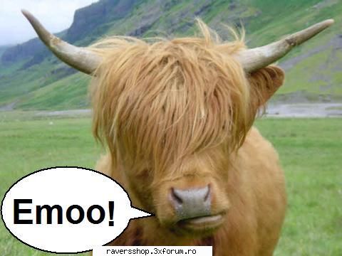 funny (videos and pics) dedicatie speciala emolover! &nbsp; &nbsp; &nbsp; &nbsp; &nbsp; &nbsp;