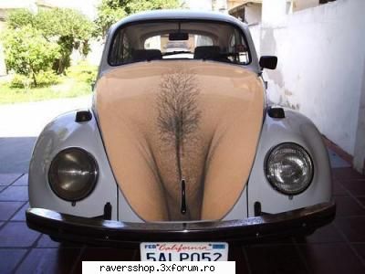 funny (videos and pics) mda &nbsp; &nbsp;