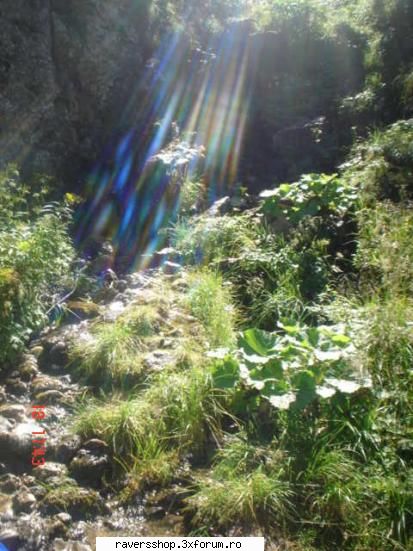 fotofrafia digitala poza mie-mi place foarte mult...si editata sau iesit