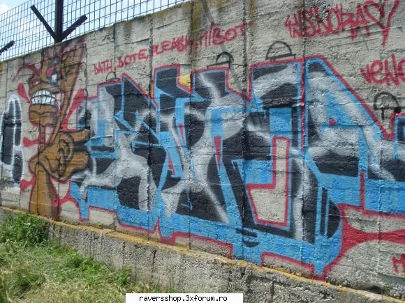 graffiti scrie ordinea buna pleask dote