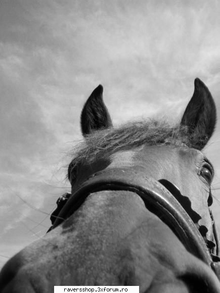 fotofrafia digitala summer rural sesion1