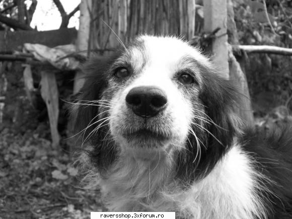fotofrafia digitala 5kgf