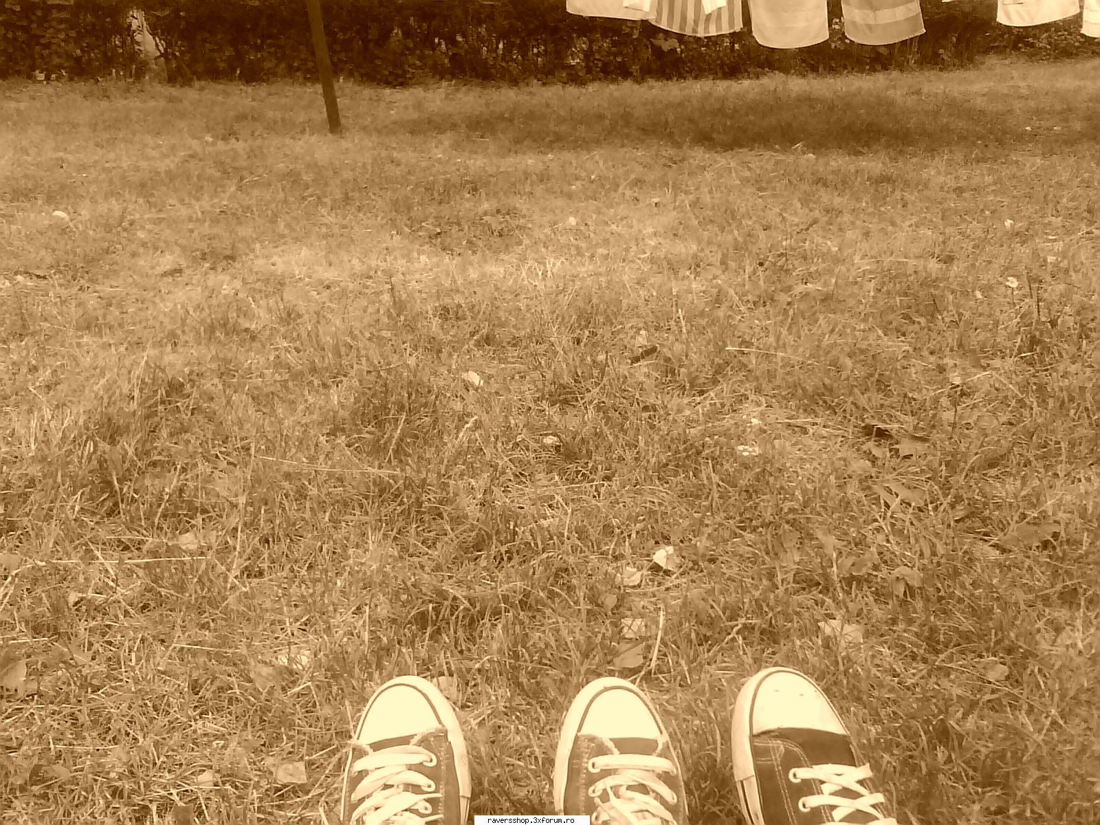 fotofrafia digitala