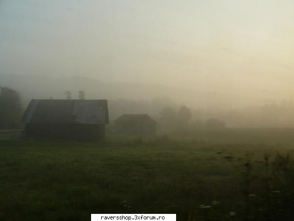 fotofrafia digitala foggy