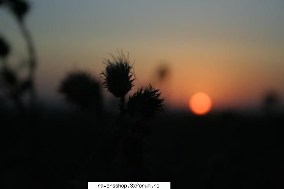 fotofrafia digitala sunset