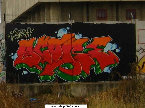 graffiti bacau trackside ...