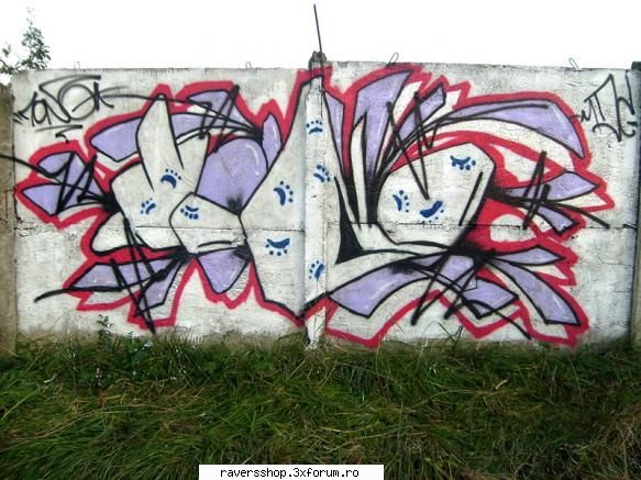 graffiti gafe! ... stitzi voi unde&nbsp;