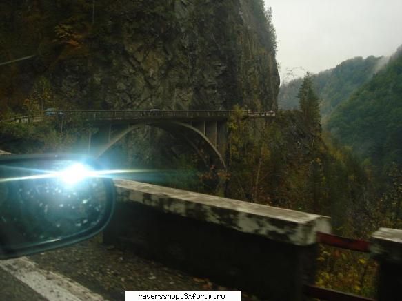 fotofrafia digitala poza