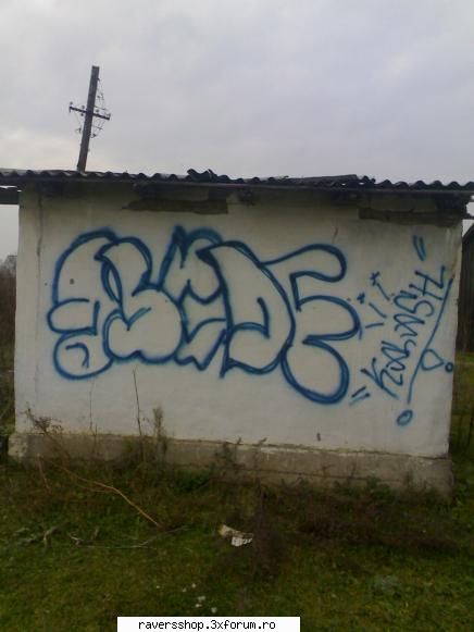 incepatori