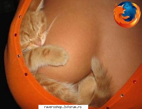 funny (videos and pics) fire fox