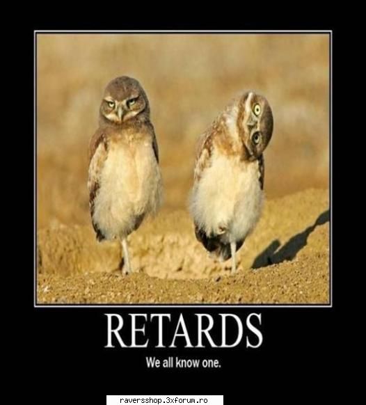 funny (videos and pics)
