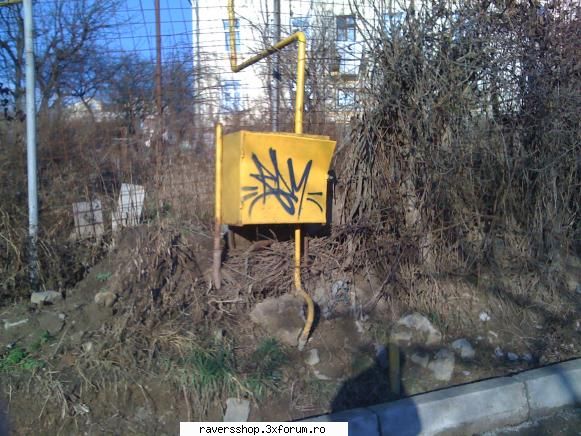 taguri