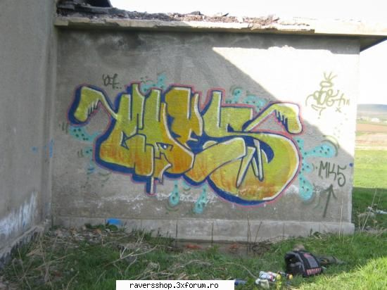graffiti unu numi goes vede din tren ...se vede...
