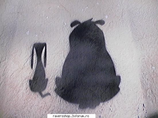 stenciluri dogs