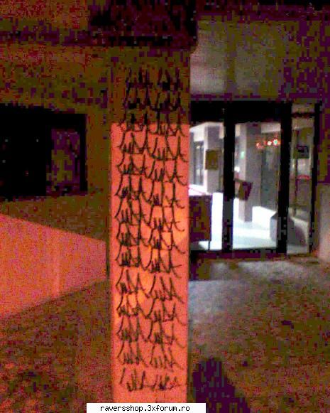 graffiti ooi misca iashu` bun asa...bv arata ala nui locu unde nea fugarit moshulica ala prof stap