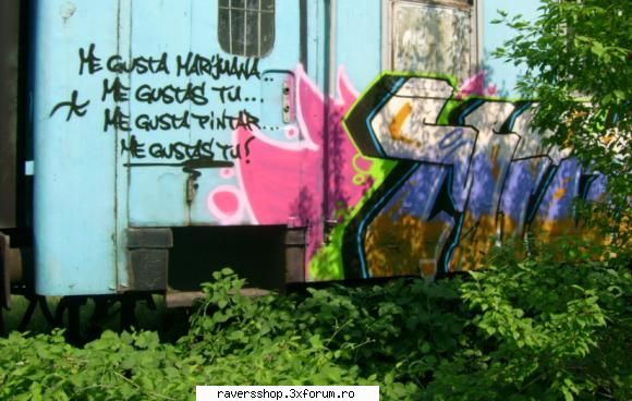 graffiti shi misca shi love trashin' trash trains ....