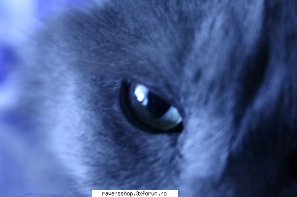 fotofrafia digitala unu