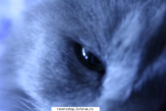 fotofrafia digitala doi